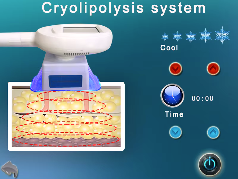 Machine professionnel 6
